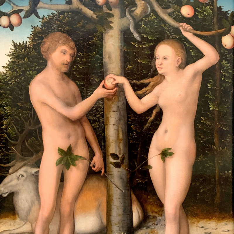 Was Sie schon immer &uuml;ber Sex in der Bibel wissen wollten, sich aber nie zu fragen wagten